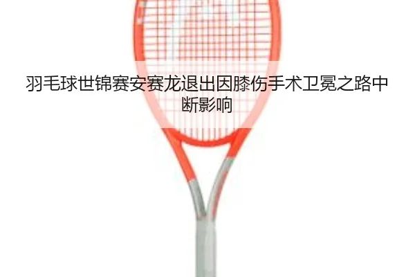 yu-mao-qiu-shi-jin-sai-an-sai-long-tui-chu-yin-xi-shang-shou-shu-wei-mian-zhi-lu-zhong-duan-ying-xiang-3-606.jpg